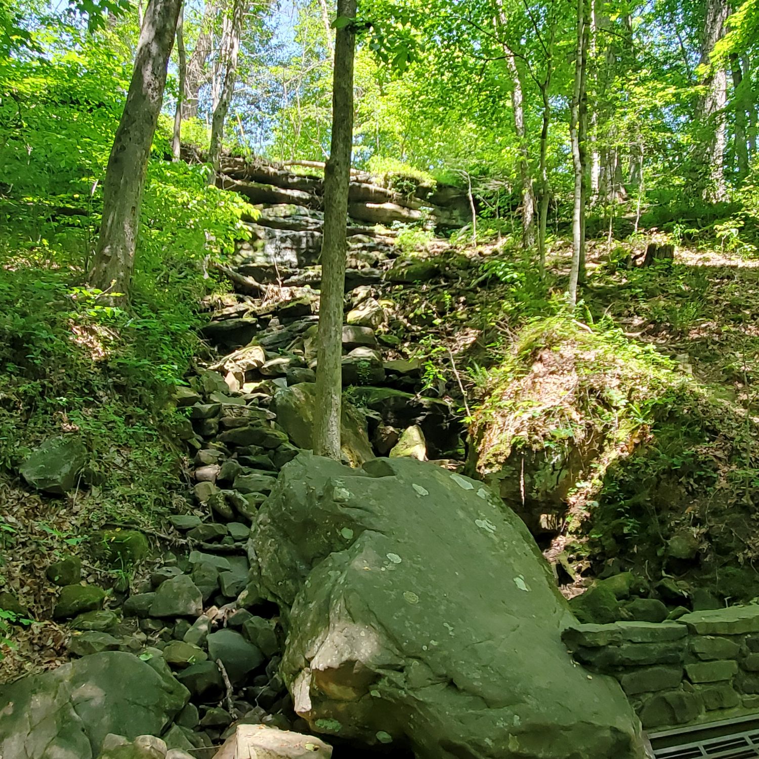 Mammouth Cave National Park Hike 